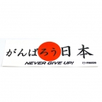 NEVER GIVE UP! - Decal